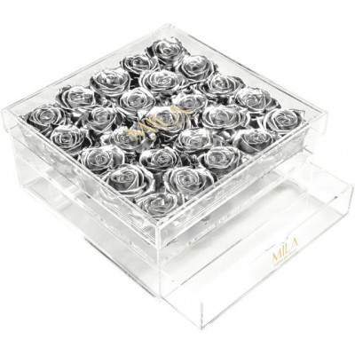 Produit Mila-Roses-00563 Mila Acrylic Large Bijou - Metallic Silver