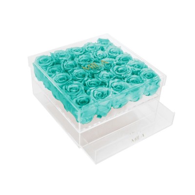 Produit Mila-Roses-00567 Mila Acrylic Large Bijou - Aquamarine