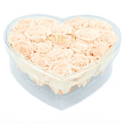 Produit Mila-Roses-00581 Mila Acrylic Large Heart - Pure Peach
