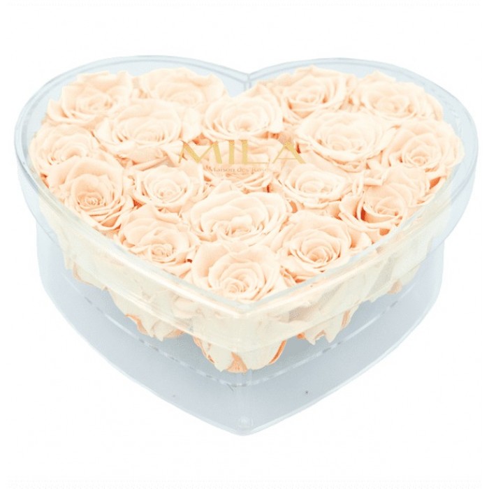 Mila Acrylic Large Heart - Pure Peach