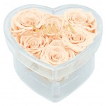  Mila-Roses-00605 Mila Acrylic Small Heart - Pure Peach