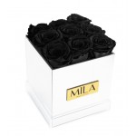  Mila-Roses-00625 Mila Acrylic Mirror - Black Velvet