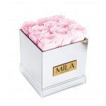  Mila-Roses-00628 Mila Acrylic Mirror - Pink Blush