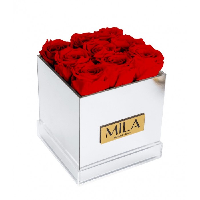 Mila Acrylic Mirror - Rouge Amour