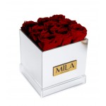  Mila-Roses-00631 Mila Acrylic Mirror - Rubis Rouge