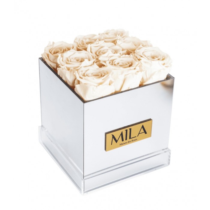 Mila Acrylic Mirror - Champagne