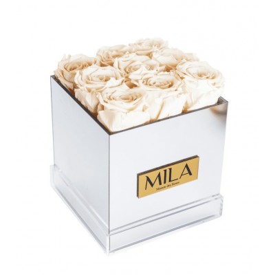 Produit Mila-Roses-00633 Mila Acrylic Mirror - Champagne