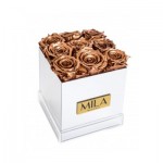  Mila-Roses-00636 Mila Acrylic Mirror - Metallic Copper