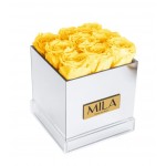  Mila-Roses-00637 Mila Acrylic Mirror - Yellow Sunshine