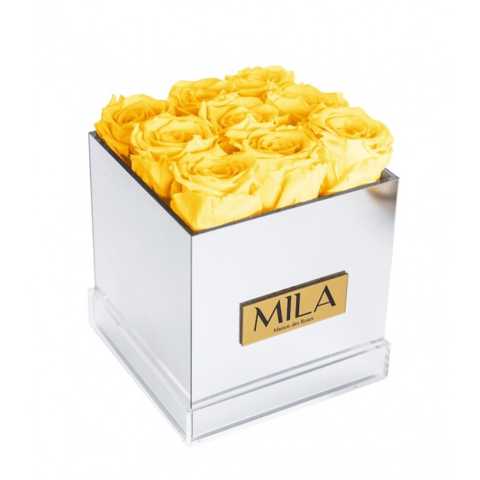 Mila Acrylic Mirror - Yellow Sunshine