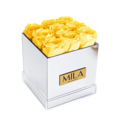 Produit Mila-Roses-00637 Mila Acrylic Mirror - Yellow Sunshine