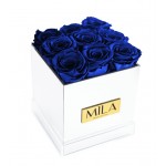  Mila-Roses-00640 Mila Acrylic Mirror - Royal blue