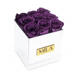  Mila-Roses-00644 Mila Acrylic Mirror - Velvet purple