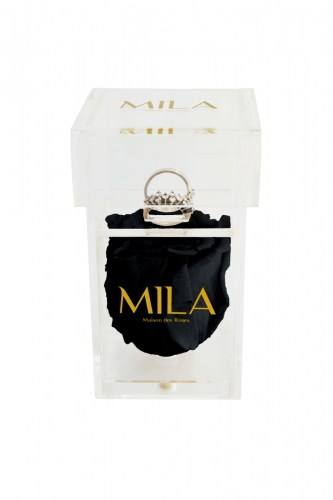 Produit Mila-Roses-00649 Mila Acrylic Single Ring - Black Velvet