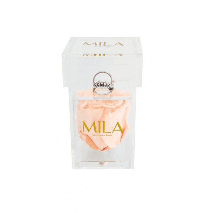 Mila Acrylic Single Ring - Pure Peach