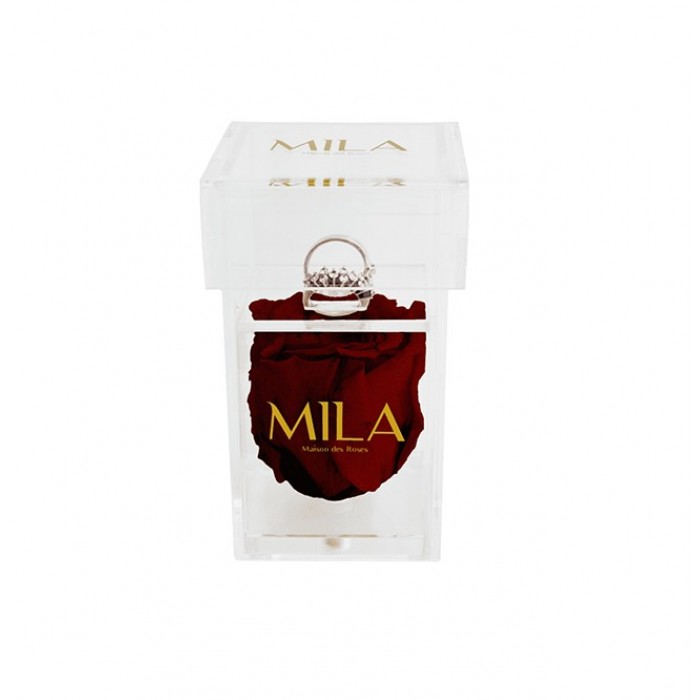 Mila Acrylic Single Ring - Rubis Rouge