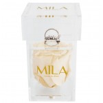  Mila-Roses-00657 Mila Acrylic Single Ring - Champagne