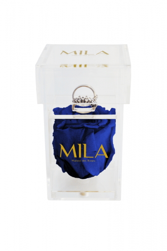 Produit Mila-Roses-00664 Mila Acrylic Single Ring - Royal blue