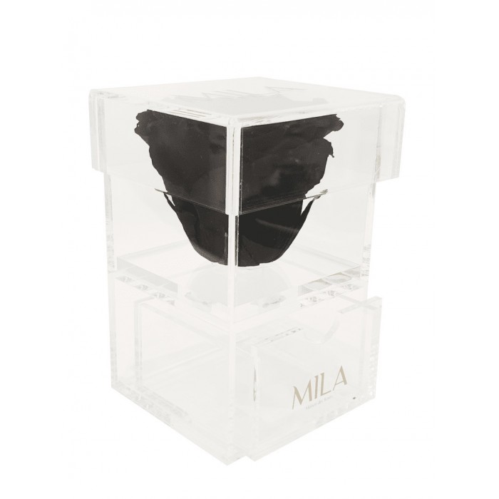 Mila Acrylic Baby Bijou