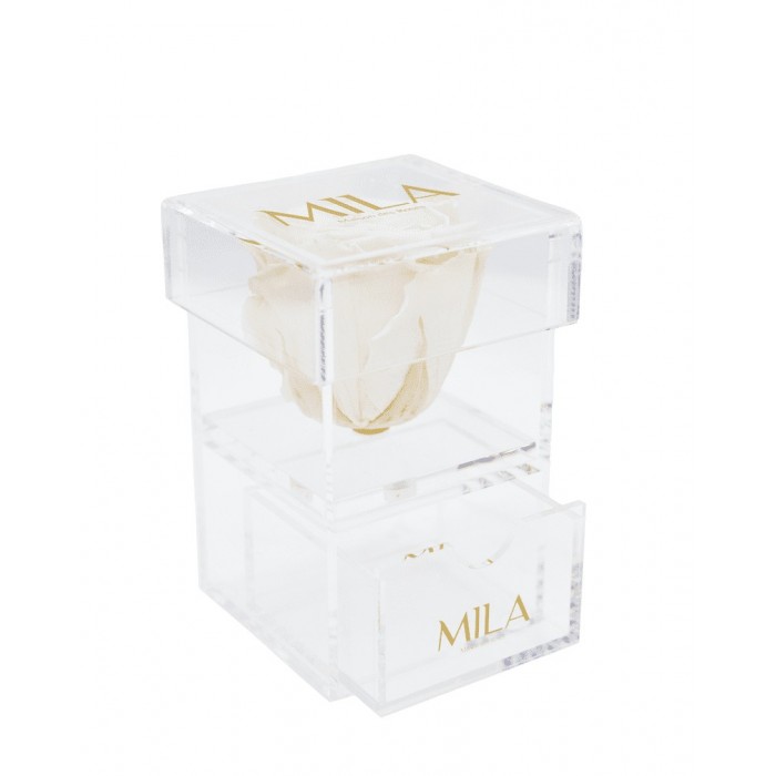 Mila Acrylic Baby Bijou - White Cream