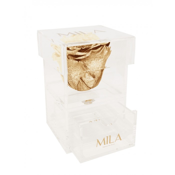 Mila Acrylic Baby Bijou - Metallic Gold