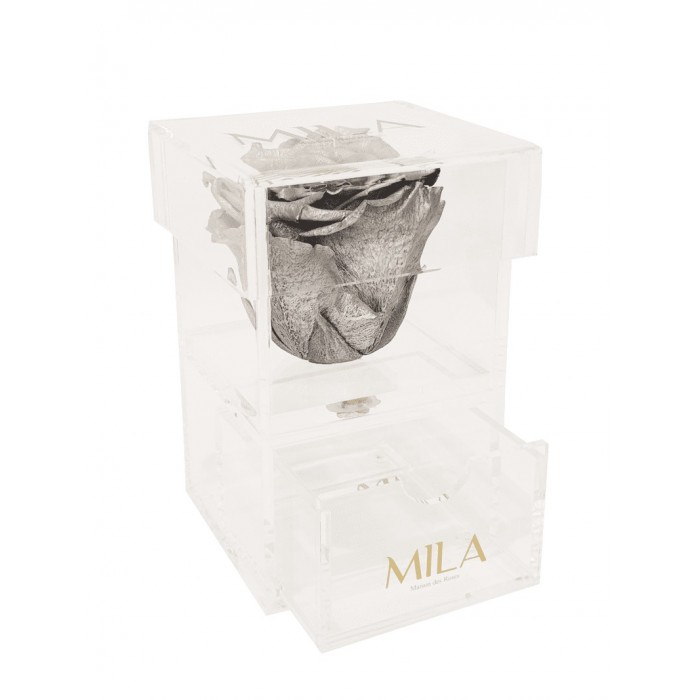 Mila Acrylic Baby Bijou - Metallic Silver