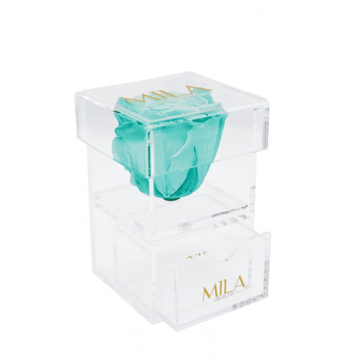 Mila Acrylic Baby Bijou - Aquamarine