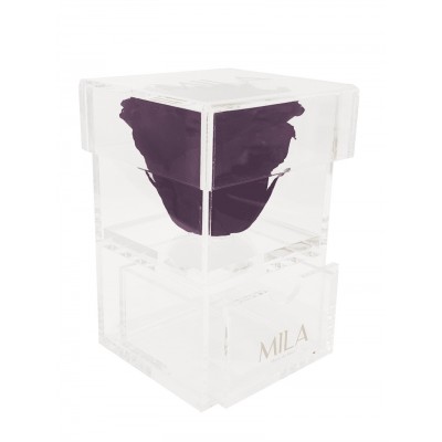 Produit Mila-Roses-00692 Mila Acrylic Baby Bijou - Velvet purple