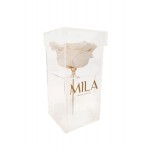  Mila-Roses-00697 Mila Acrylic Single XXL - White Cream