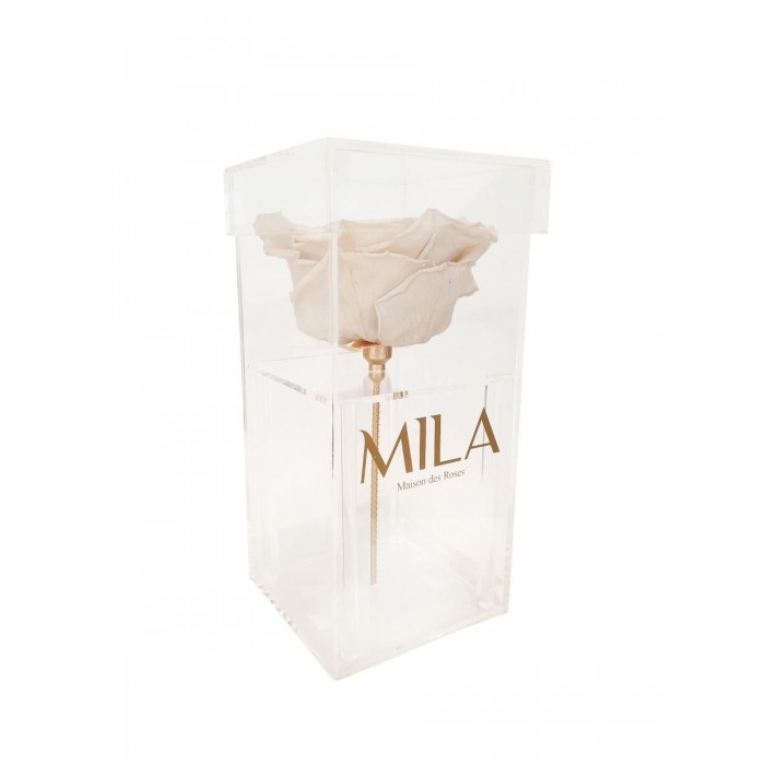 Mila Acrylic Single XXL - White Cream