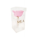  Mila-Roses-00698 Mila Acrylic Single XXL - Pink Blush