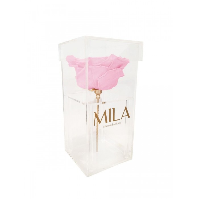 Mila Acrylic Single XXL - Pink Blush
