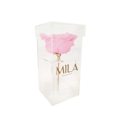 Produit Mila-Roses-00698 Mila Acrylic Single XXL - Pink Blush
