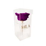  Mila-Roses-00699 Mila Acrylic Single XXL - Violin