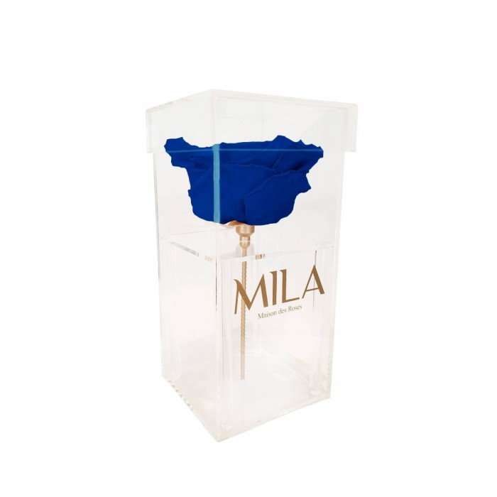 Mila Acrylic Single XXL - Royal blue