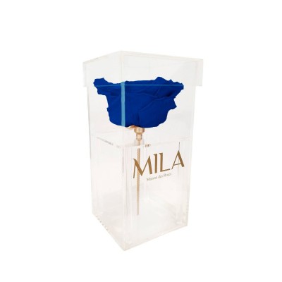 Produit Mila-Roses-00700 Mila Acrylic Single XXL - Royal blue