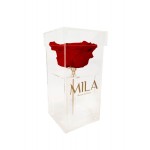  Mila-Roses-00702 Mila Acrylic Single XXL - Rouge Amour