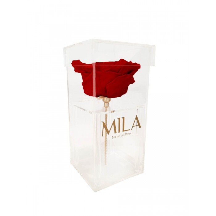 Mila Acrylic Single XXL - Rouge Amour