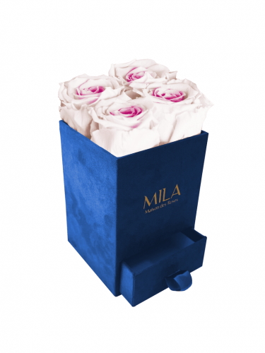 Produit Mila-Roses-00704 Mila Velvet Mini Royal Blue Velvet Mini - Pink bottom