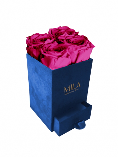 Produit Mila-Roses-00706 Mila Velvet Mini Royal Blue Velvet Mini - Fuchsia