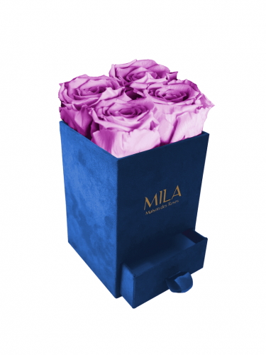 Produit Mila-Roses-00709 Mila Velvet Mini Royal Blue Velvet Mini - Mauve