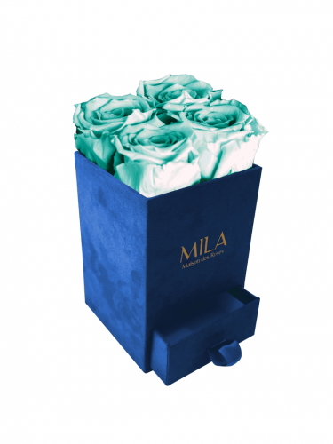 Produit Mila-Roses-00712 Mila Velvet Mini Royal Blue Velvet Mini - Aquamarine