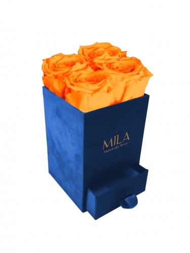 Produit Mila-Roses-00719 Mila Velvet Mini Royal Blue Velvet Mini - Orange Bloom