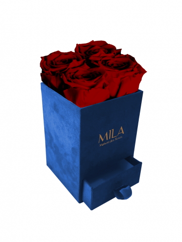 Produit Mila-Roses-00720 Mila Velvet Mini Royal Blue Velvet Mini - Rubis Rouge