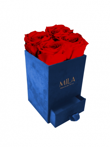 Produit Mila-Roses-00721 Mila Velvet Mini Royal Blue Velvet Mini - Rouge Amour
