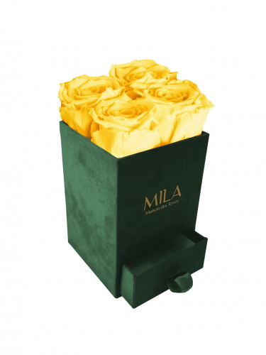 Produit Mila-Roses-00738 Mila Velvet Mini Emeraude Velvet Mini - Yellow Sunshine