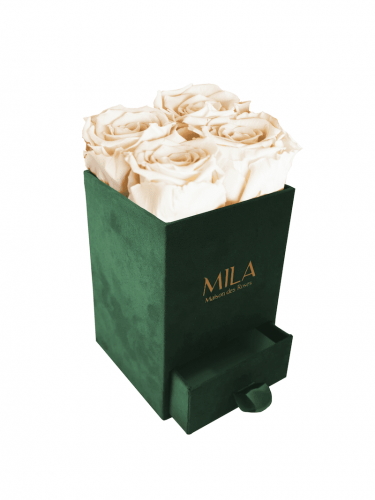 Produit Mila-Roses-00742 Mila Velvet Mini Emeraude Velvet Mini - Champagne