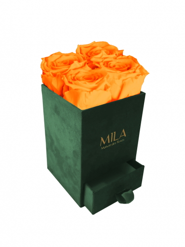 Produit Mila-Roses-00743 Mila Velvet Mini Emeraude Velvet Mini - Orange Bloom