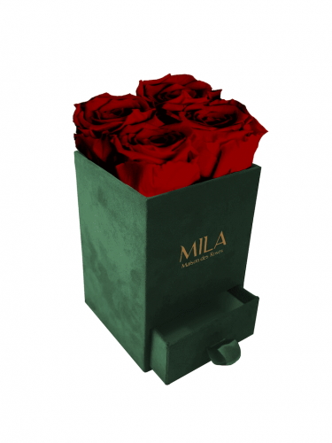 Produit Mila-Roses-00744 Mila Velvet Mini Emeraude Velvet Mini - Rubis Rouge