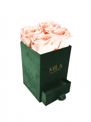 Produit Mila-Roses-00746 Mila Velvet Mini Emeraude Velvet Mini - Pure Peach